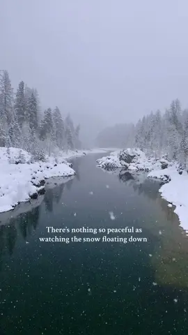 Dreamy winter scenes in Montana ❄️  #wintervibes #snowday #glaciernationalpark #montana #wintertime   