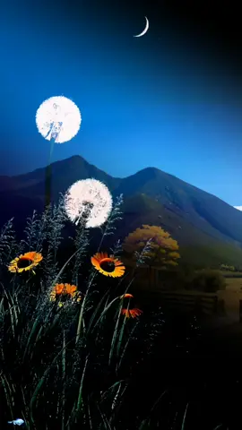 video acompañado de hermosas canciones 