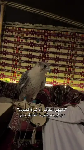 #اكسبلور #الكويت🇰🇼 