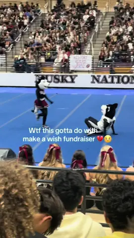 shaking ahh for what 🥹#LanguageLearning #fyp #hamilton #schoolassembly #xyzbca 