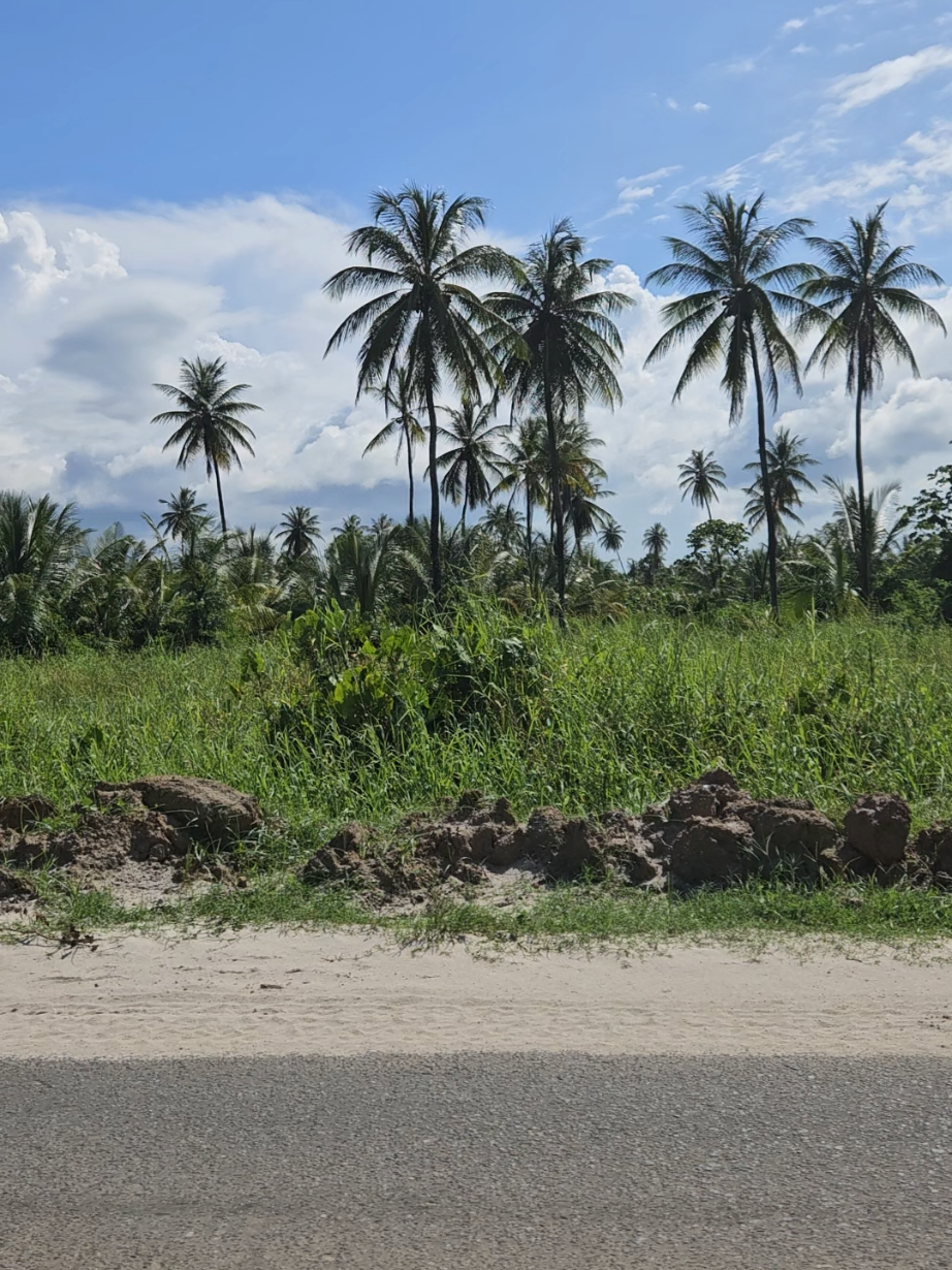 I'll go first - born in Linden, raised in Mahaicony, living in London ❤️🇬🇾  #Guyana🇬🇾 #londonuk  #usa #fyp #fyi 