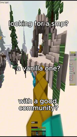 lazy vid. The BEST VANILLA minecraft smp for YOU to join! #smp #stretchtok #holup #Minecraft #viral 