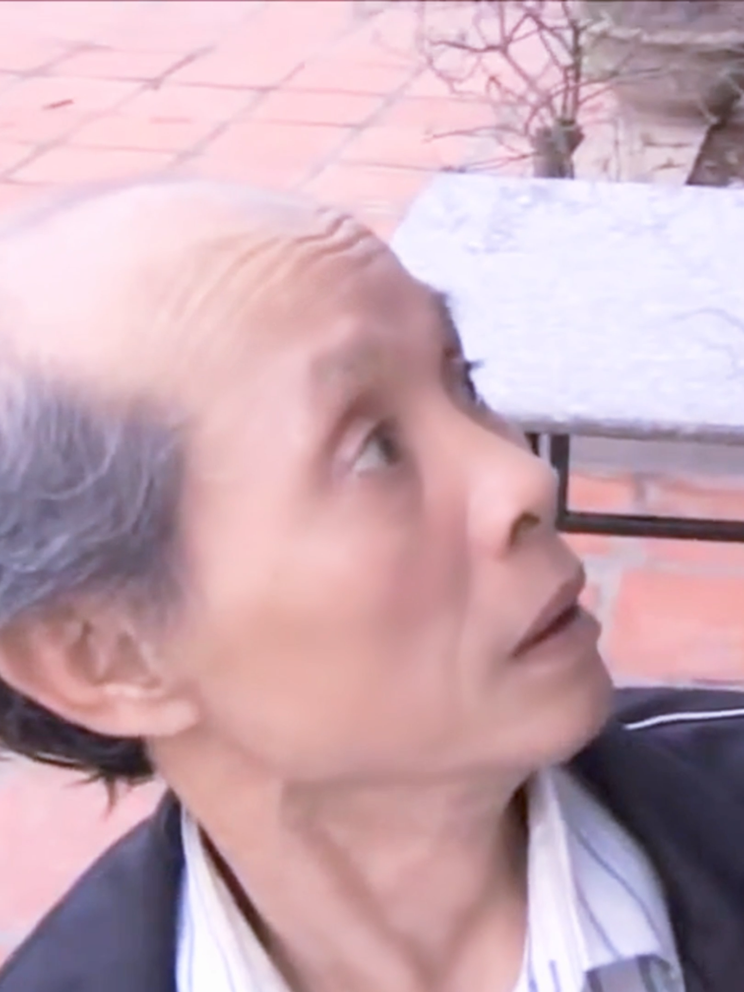 Hài Việc Làm Giang Còi Quang Tèo (22) #haixua🎭 #haimienbac #gapnhaucuoituan #haivietnam