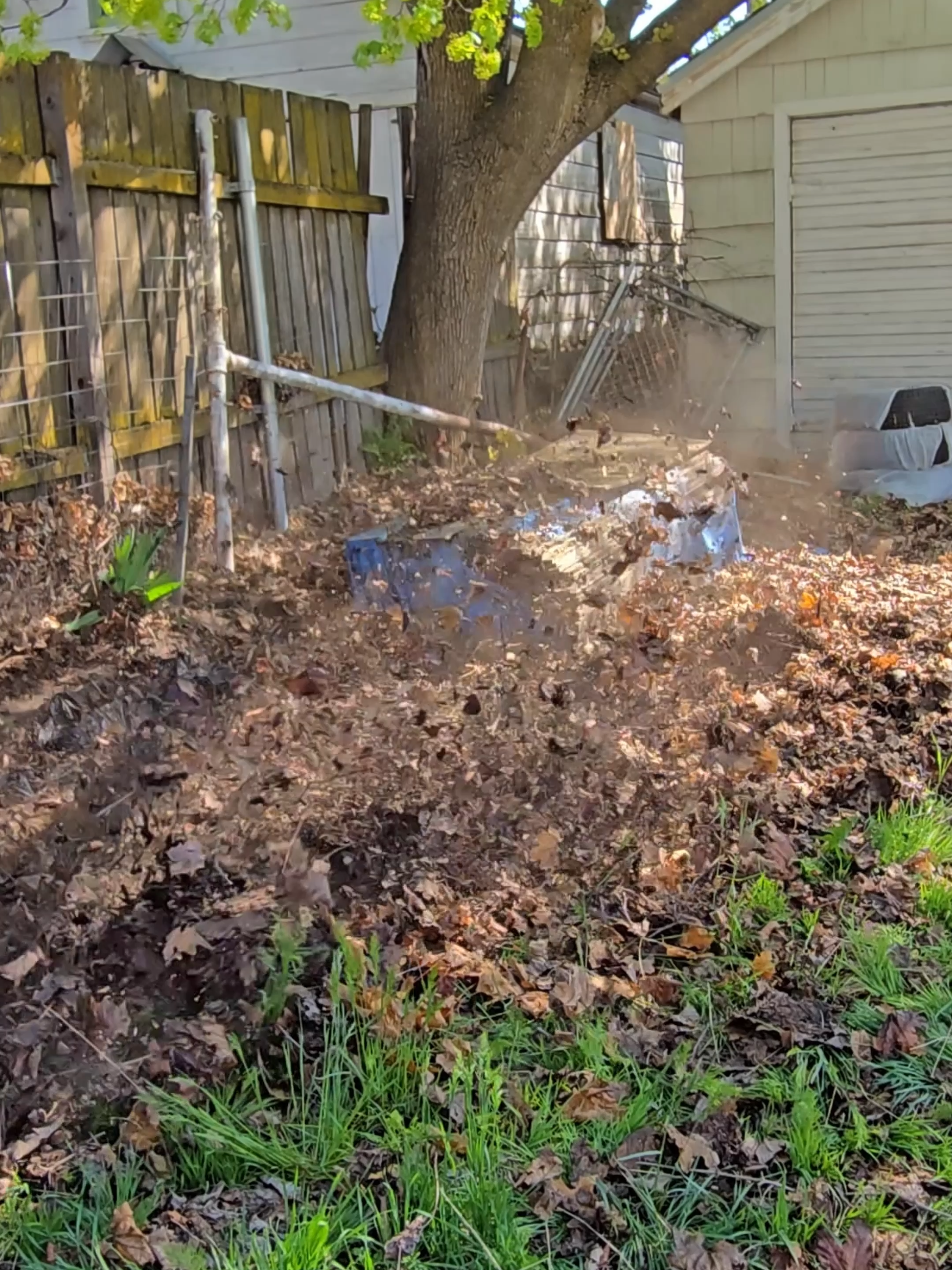 I Couldn't BeLEAF It!🍁😉#fyp #mowing #lawncare