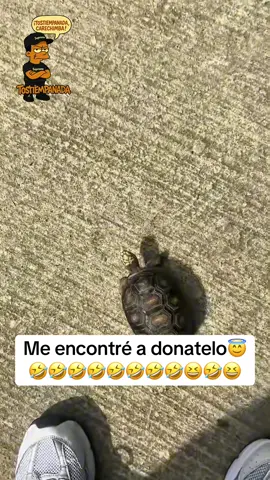 Donatelo #viral #viralshort #fyp #viralvideo #viraltiktok 