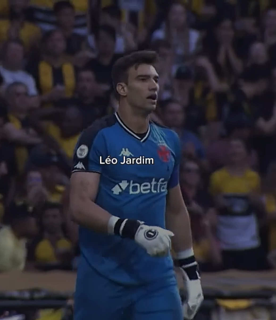 o melhor goleiro do Brasil 🧤💢 #leojardim #vasco #vascodagama #foryou #fyp 