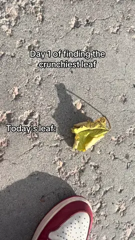 Not to bad but I could find better. Check back tomorrow forday 2.