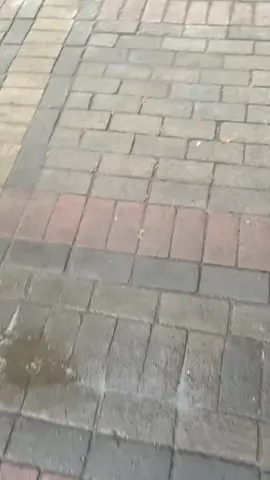 Jan wademmm ji #sarangan #telaga #seszz #story 