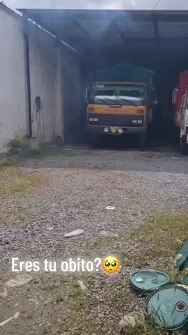 #algobellopalcamello🐫💵 