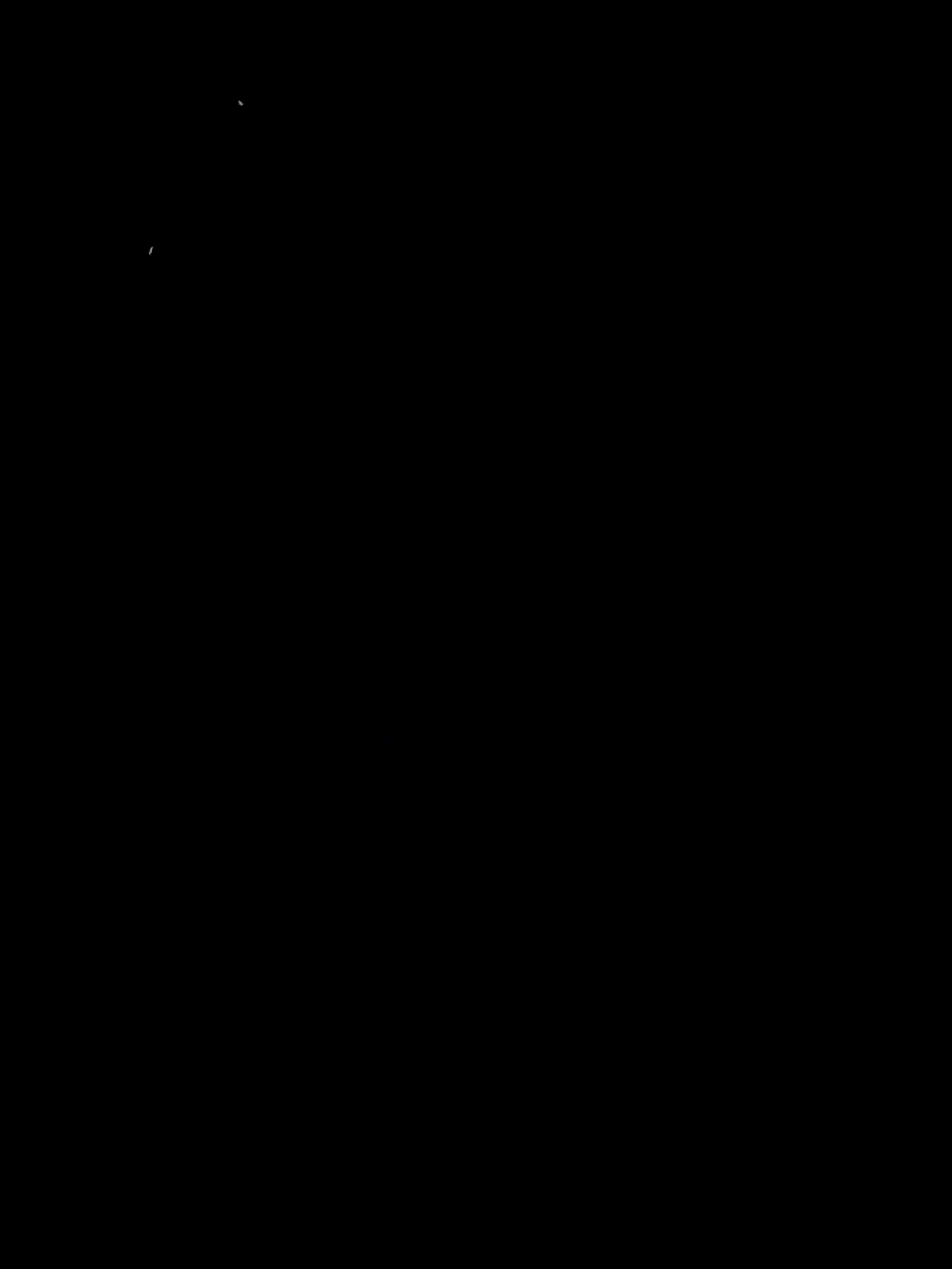 que tu harias.... #racing #racingclub #edit #copalibertadores #viral #argentina #lpf #libertadores #solari #velezsarsfield #velez