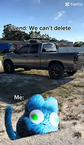 Def lol 😂 #fyp #diesellife #emissionsfree #deflol #florida 