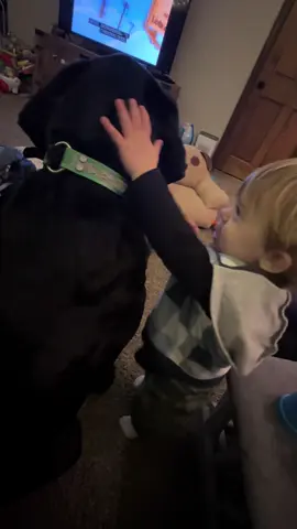 Pat pat to his favorite dog 💙 #duke #pets #Love