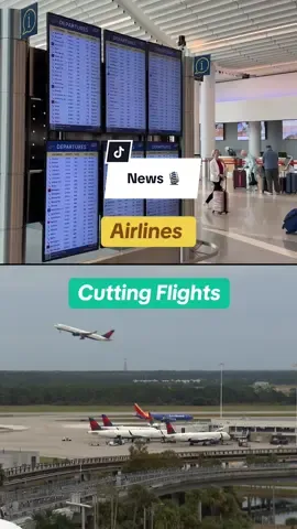 Airlines cutting flight during government shutdown #governmentshutdown #airport #travel #news #faa 