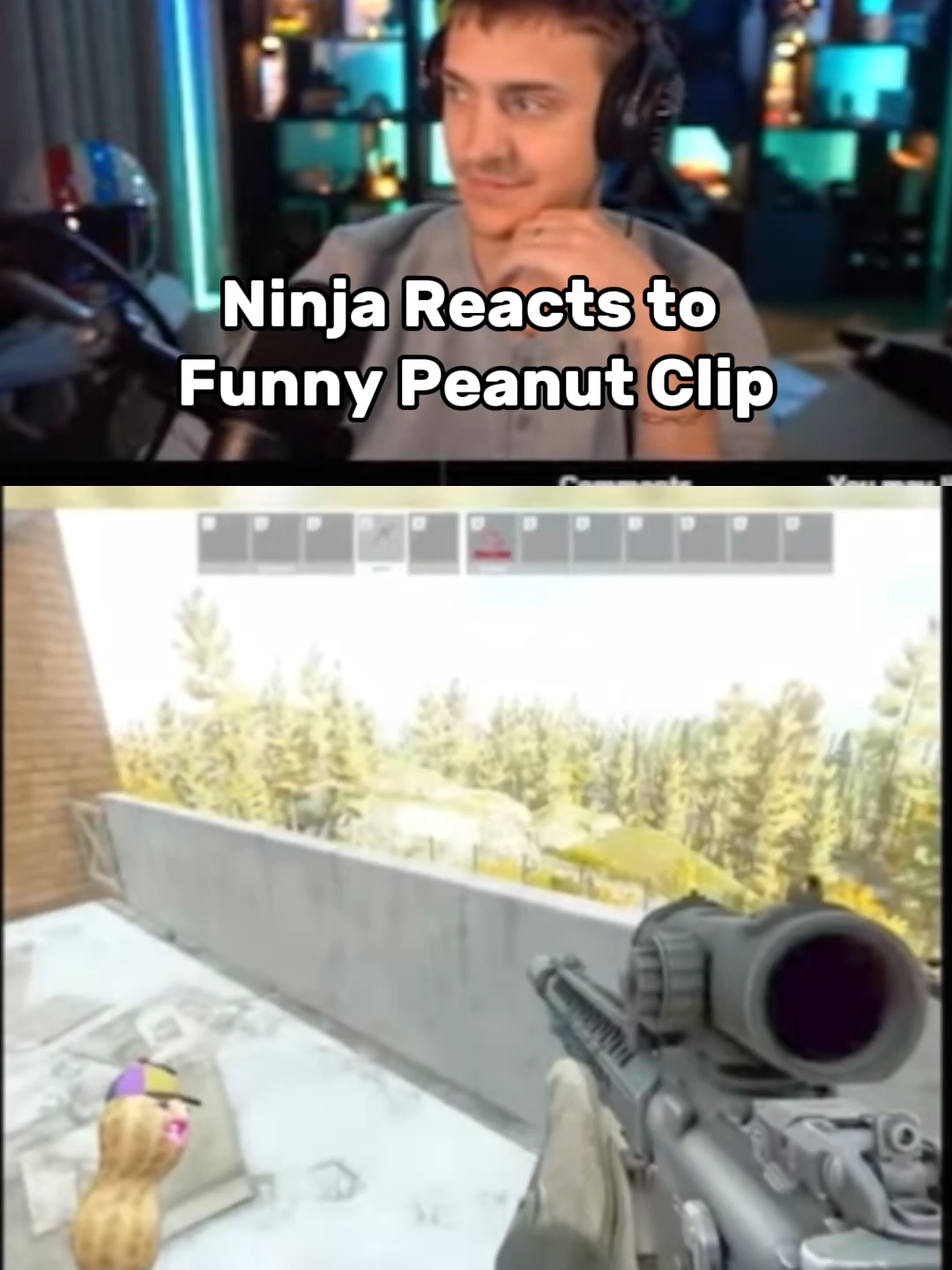 W vtuber #theburntpeanut #ninja #arcraiders #fyp