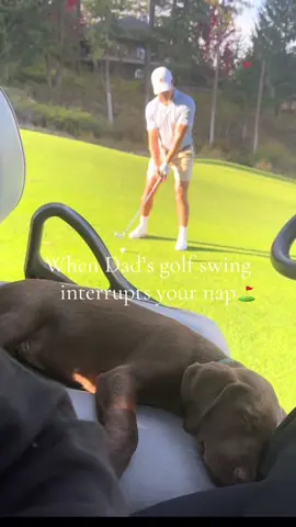 Let him nap 😅 @I Can’t Even (via:Elizabethjoyz/ig) 