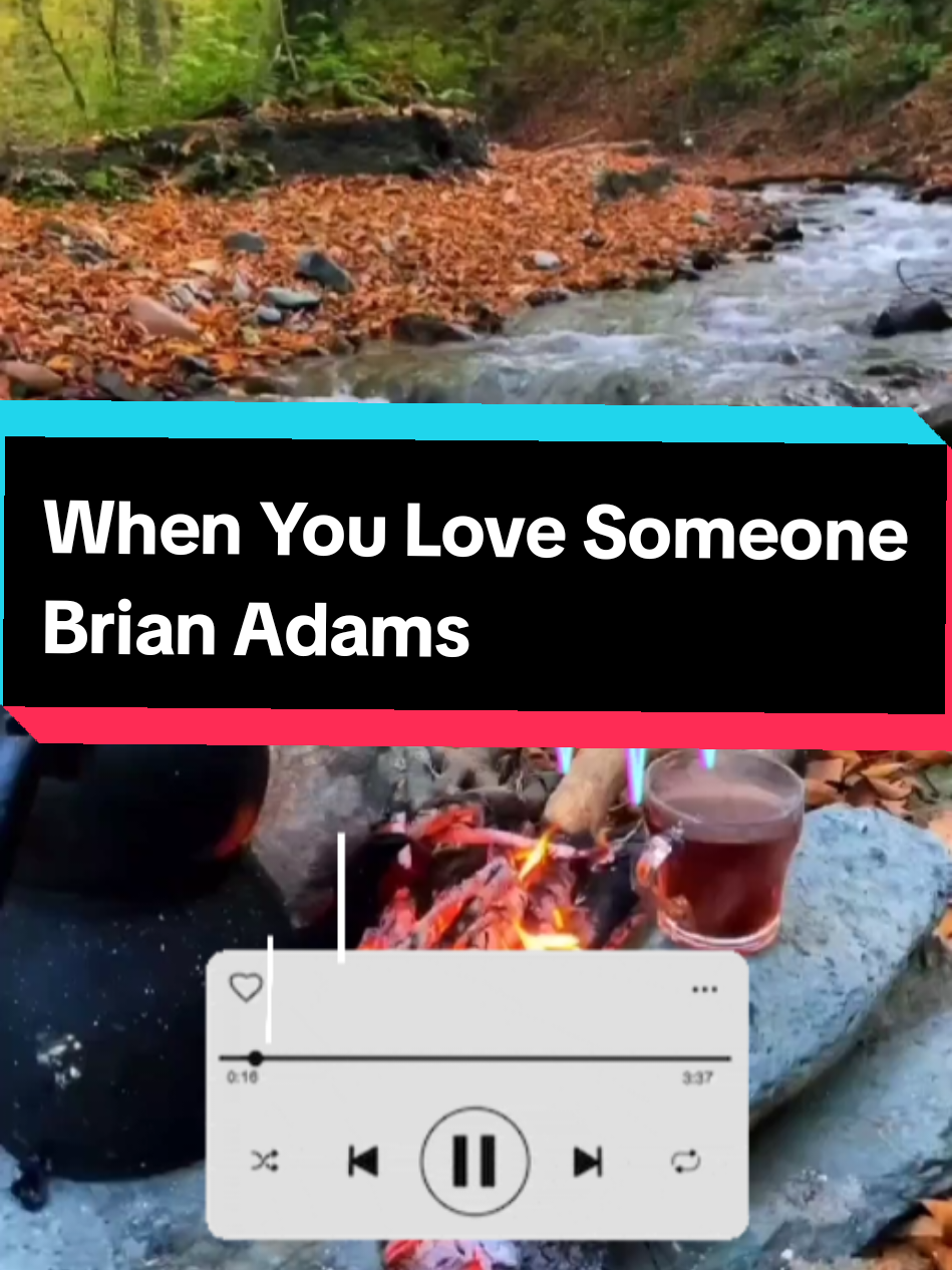Saat cinta benar-benar hidup dalam hati, segalanya terasa berbeda — lembut, hangat, dan penuh makna. ❤️ Karena “When You Love Someone”, kamu belajar untuk memberi tanpa pamrih, dan mencintai tanpa batas. #WhenYouLoveSomeone #BryanAdams #LoveIsAll #HeartAndSoul #MorningVibes 💞 @(PAF) ilon 