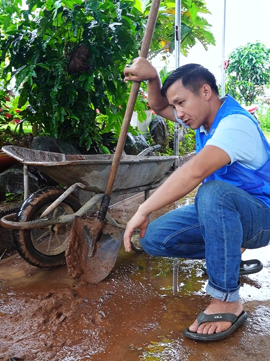 cách vệ sinh sạch sẽ sân vườn sau khi mưa bão. #binhdiennuoc #mayruaxe #vesinhnhacua #mayruaxecaoap #longervideos 