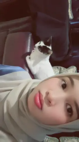 terlihat Mochi sudah sangat muak 😌