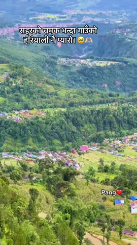 #सहरको चमक भन्दा गाउँको हरियाली नै प्यारो।#missyoufamily😪 #