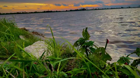 Có ngờ một hôm nước lên …🥰❤️#quehuong #hoanghon #canhdepthiennhien #xuhuong 