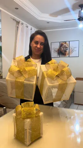 Faça você mesmo decoração de Natal 🎄 gastando pouco.  #Natal2025 #decoracaodenatal #PresentesCriativos #GastandoPouco #IdeiasNatalinas 