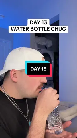 Day 13 #animals #cat 