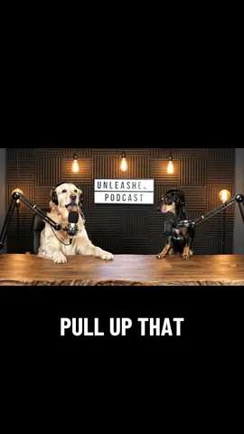 #dog #pets #fence #bark #unleashed c: Jaimito y el Capi