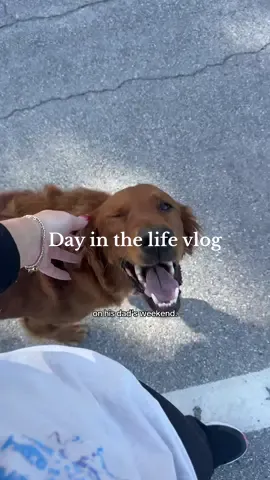 I’m hoping it’s everything he hopes it’ll be 🫶🏻 #singlemomsoftiktok #relatablemom #singlemomsaga #momvlog #divorcedmom 