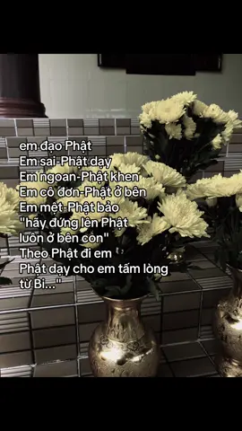 #nammoadidaphat #nammo #phatphapnhiemmau #chuakhanhlamdatset 