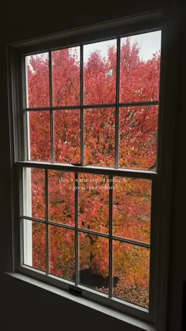 fall, don’t leave 🧡 #fallvibes #cozyseason 