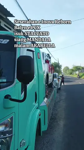 Pernikahan Mas Deny & Mbak Imell #pativiral #tambakromo #patigayabebas #nikahanviral #pernikahanidaman 