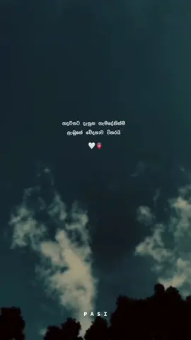 ඒක දිග කතාවක්......!!🤍🙂 . . . #pasi_quoets #fypシ゚ #viral #foryoupage #boot_status #trending #goviral #200kviews @𝘗𝘈𝘚𝘐 𝘎𝘍 🌝💗✨ 