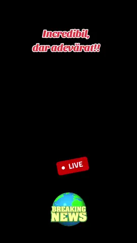 Un accident rutier produs pe autostrada A2 a dus la o descoperire macabră! Un bărbat își transporta mama moartă pe bancheta din spate a autoturismului #infotrafic #Trafic #PolițiaRutieră #vama #CetateanGerman @@MMC_AGENCY @dj_daniel_official @DADATV @Andi Enache @Ministerul Afacerilor Interne 