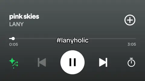 #lany #holic #fyp #relateable 