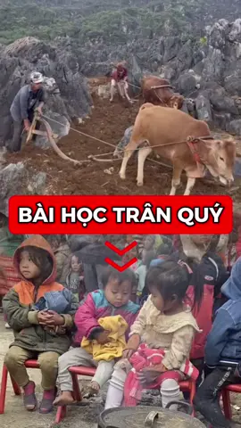 Hà Giang và câu chuyện cuộc đời #hagiang #dulichhagiang #cuocsonghagiang #tremhagiang #reviewhagiang 
