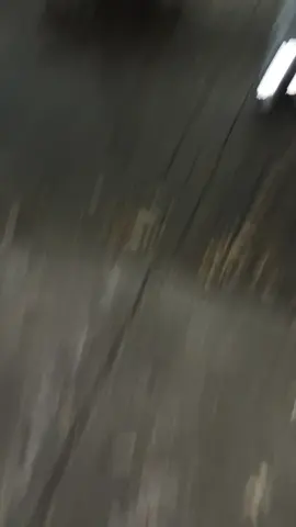 @babyvoefrmig #fyp #chicago #viral #makemefamous 