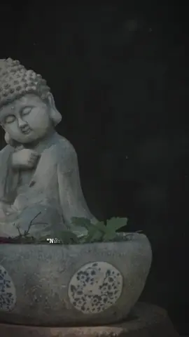 Nữa cuộc đời đã qua #nammoadidaphat #nammobonsuthichcamauniphat 