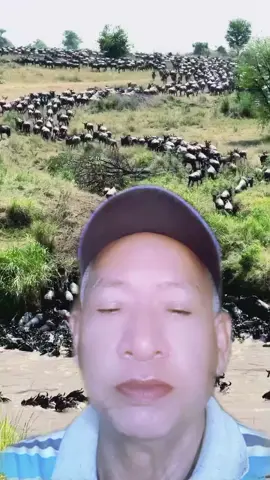 #ឌ្យូអេត​ជាមួយ @សុិញសំបូរ សាមុី #🇰🇭🇰🇭🇰🇭🇰🇭 I want to go viral on TikTok 