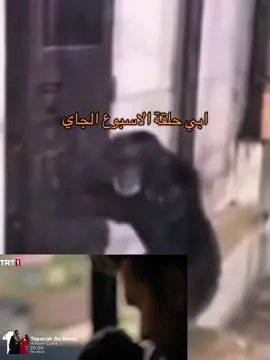 اسماء عرفت ان ايليني بنتها وعادل يمشي ويجلد فيهم هذا وهو باقي ماعرف انها بنته اه يالضحك #taşacakhabudeniz  #هذا_البحر_سوف_يفيض 