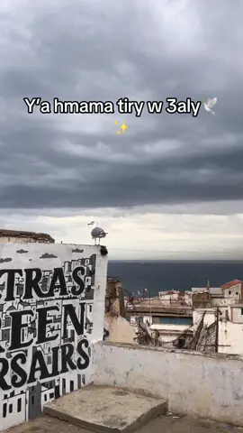 #casbha #algeria #dzpower #grwabi #chaabi #casbha_today🇩🇿 #حايك #لعجار_الجزائري #خيط_الروح_الجزائري 