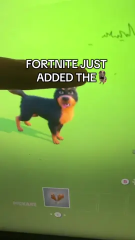 W fortnite 👀 #fortnite #dog #germanshepherd #fyp #meme 