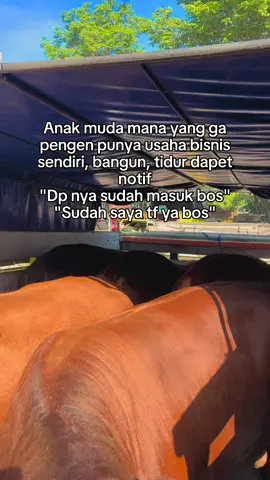 Ready 5 ekor bakalan super🤳🏻#fyppppppppp #setiafarm #bakalan #calonjumbo #viraltiktok 