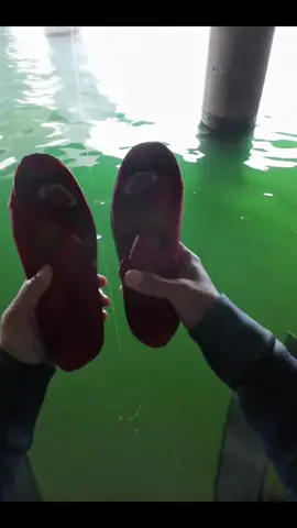 Đi câu cá có đôi giày đem về 😂😂😂##caucagiaitri #canthu #cancau #cauca 