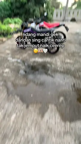 tinggal milih mau yang trell apa ban cacing😭 #crf #crf150l #surex 