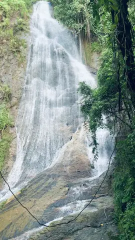 tetesan air yang jatuh dari ketinggian membawa cerita tentang keindahan yang tak pernah usang💦 #curug 