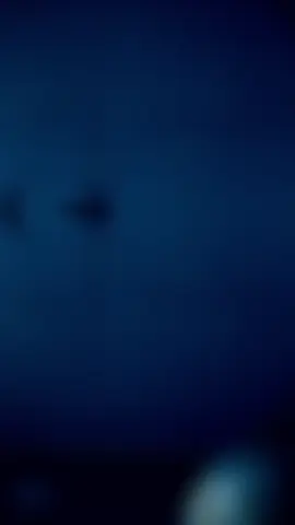 #macarenaremix #CapCut 