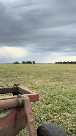 #campoargentino🌱🌾🌻🐮🐂 #perrostiktokers #tractor #deutz #lapampa 