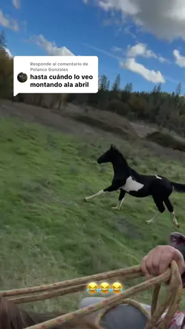 Respuesta a @Polanco Gonzales cuándo la Llegua te queda grande, pero haces todo lo posible para montarla #rancho #bronco #horses #caballos #fyppppppppppppppppppppppp 