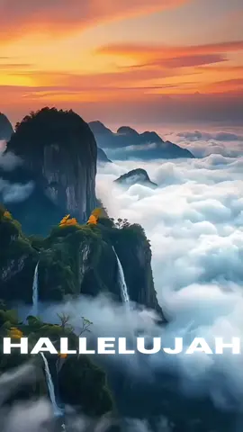 Agnus Dei Michael W. Smith Aleluia, aleluia Hallelujah, Hallelujah Porque nosso Senhor o Deus Todo Poderoso reina For the Lord God Almighty reigns Aleluia, aleluia Hallelujah, Hallelujah Porque nosso Senhor o Deus Todo Poderoso reina For the Lord God Almighty reigns Aleluia Hallelujah Santo, Santo És tu Senhor Deus Todo Poderoso Holy, Holy are you Lord God Almighty Digno é o cordeiro Worthy is the Lamb Digno é o cordeiro Worthy is the Lamb Tu és Santo, You are Holy Santo És tu Senhor Deus Todo poderoso Holy are you Lord God Almighty Digno é o cordeiro Worthy is the Lamb Digno é o cordeiro Worthy is the Lamb Amém Amen #louvor #louvores #santo #aleluia #gloriaadeus 