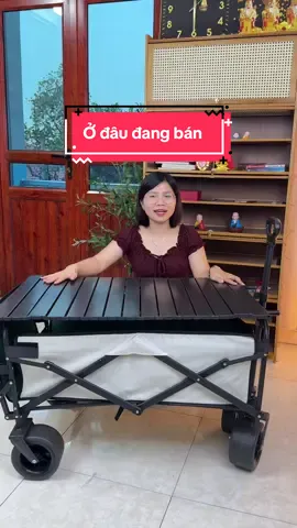 Xe đẩy đa năng có bánh xe #hangxinhtuoi #xedaydanang 
